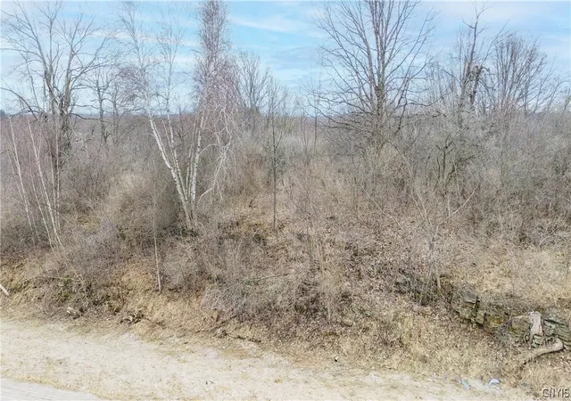 22nd image of 31022 State Route 26, Philadelphia, NY 13691 | MLS# S1671933