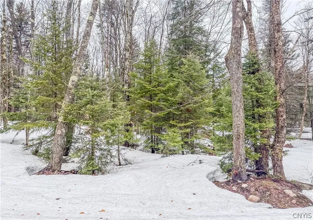 Homes for sale in Montague, NY | 1715 Olin Rd, Montague, NY 13367 | MLS# S1672138