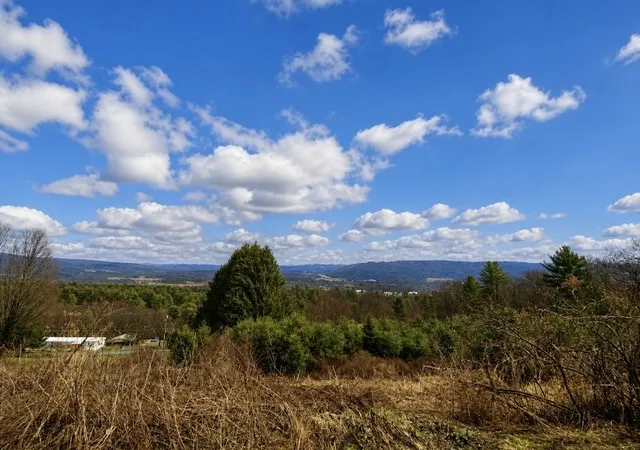 20th image of 120 Fisher Ln, Afton, NY 13730 | MLS# R1672160