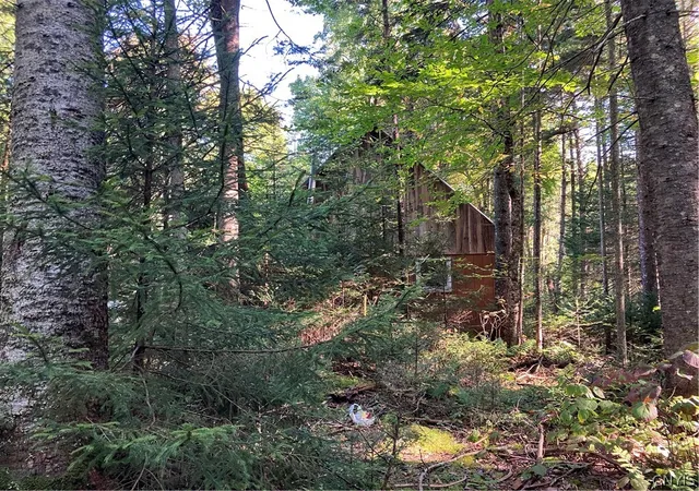 5th image of 82 Stock Ln, Inlet, NY 13360 | MLS# S1672112
