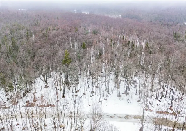Homes for sale in Montague, NY | 1727 Olin Rd, Montague, NY 13367 | MLS# S1672161