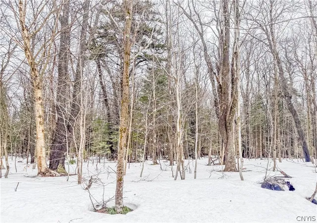 Homes for sale in Montague, NY | 1727 Olin Rd, Montague, NY 13367 | MLS# S1672161
