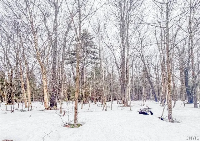 Homes for sale in Montague, NY | 1727 Olin Rd, Montague, NY 13367 | MLS# S1672161