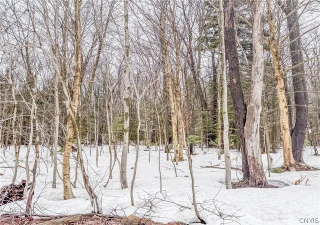 Homes for sale in Montague, NY | 1727 Olin Rd, Montague, NY 13367 | MLS# S1672161