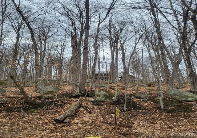 3rd image of Hollywood Rd, Old Forge, NY 13420 | MLS# S1671801