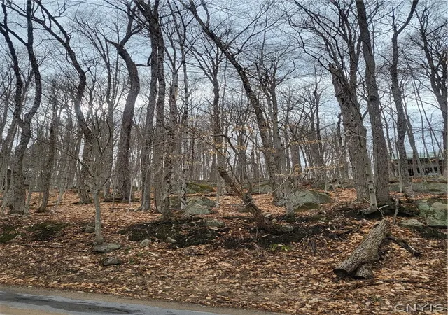 4th image of Hollywood Rd, Old Forge, NY 13420 | MLS# S1671801