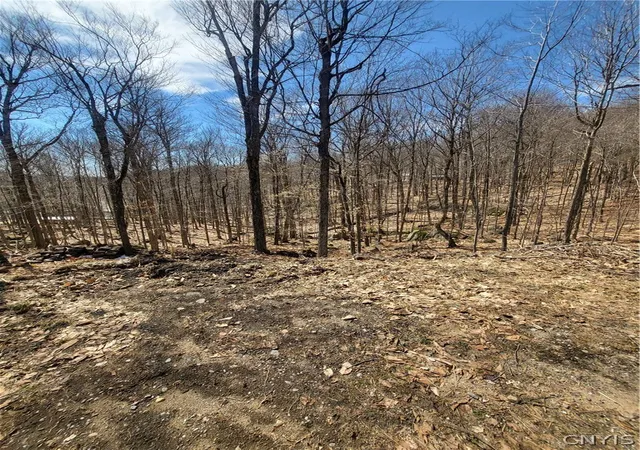 3rd image of 115 Mohawk Dr, Old Forge, NY 13420 | MLS# S1671781