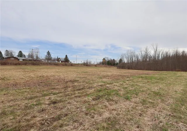 Homes for sale in Parish, NY | N Railroad St, Parish, NY 13131 | MLS# S1672667