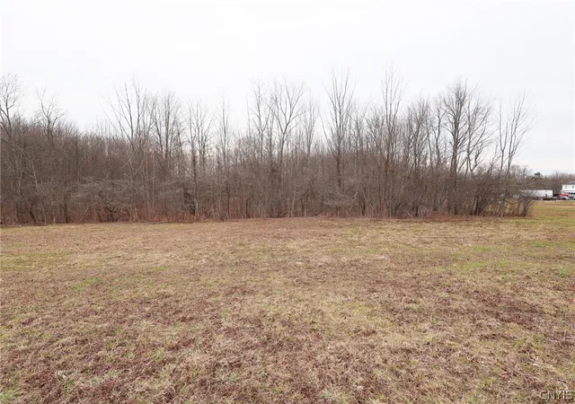 Homes for sale in Parish, NY | N Railroad St, Parish, NY 13131 | MLS# S1672667
