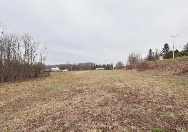 Homes for sale in Parish, NY | N Railroad St, Parish, NY 13131 | MLS# S1672667