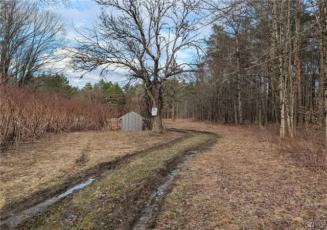3rd image of 154 Moon Hill Rd, Pharsalia, NY 13801 | MLS# S1672422