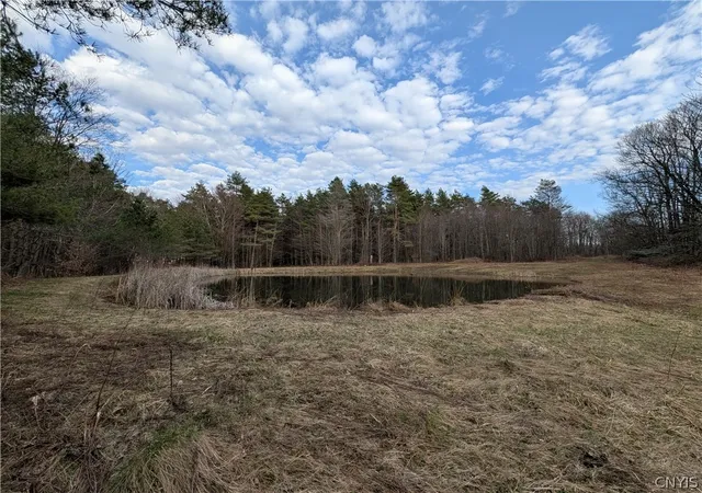 4th image of 154 Moon Hill Rd, Pharsalia, NY 13801 | MLS# S1672422
