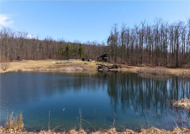 21st image of 285 Patria Rd, West Fulton, NY 12194 | MLS# S1672690