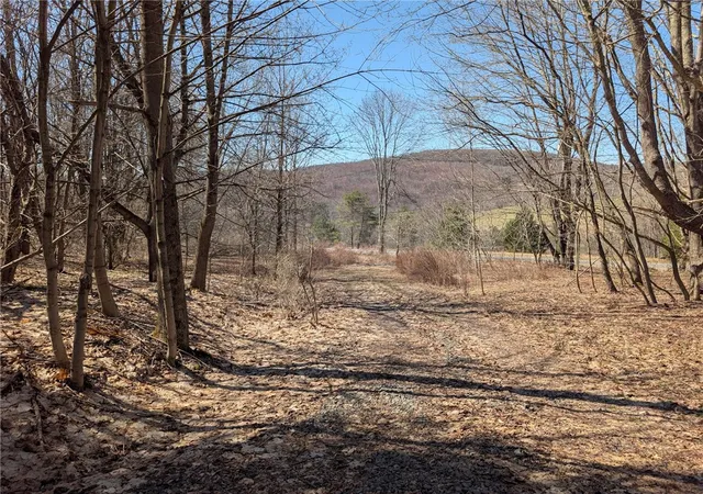 Homes for sale in Andes, NY | State Hwy 28, Andes, NY 13731 | MLS# R1672758