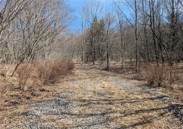 Homes for sale in Andes, NY | State Hwy 28, Andes, NY 13731 | MLS# R1672758