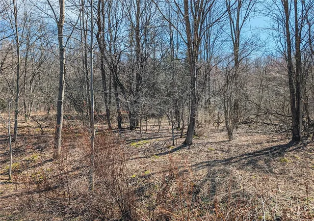 Homes for sale in Andes, NY | State Hwy 28, Andes, NY 13731 | MLS# R1672758