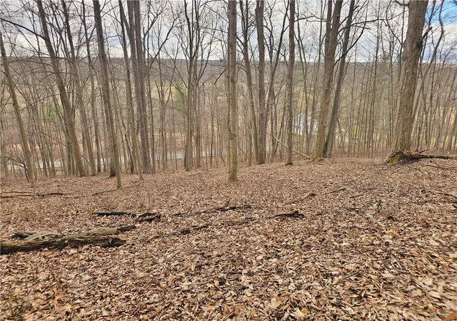 Homes for sale in Jerusalem, NY | 2130 Guyanoga Rd, Jerusalem, NY 14527 | MLS# R1671874
