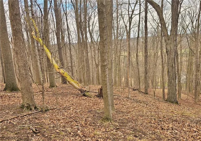 Homes for sale in Jerusalem, NY | 2130 Guyanoga Rd, Jerusalem, NY 14527 | MLS# R1671874