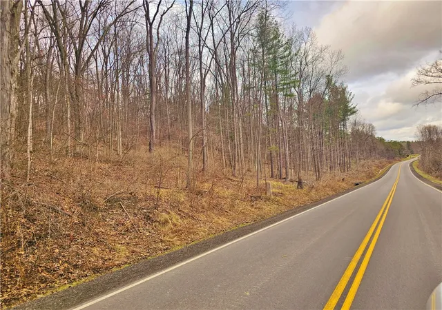 Homes for sale in Jerusalem, NY | 2130 Guyanoga Rd, Jerusalem, NY 14527 | MLS# R1671874