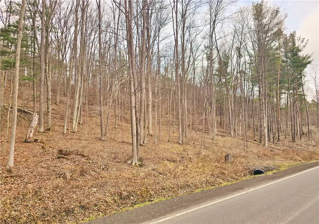 Homes for sale in Jerusalem, NY | 2130 Guyanoga Rd, Jerusalem, NY 14527 | MLS# R1671874