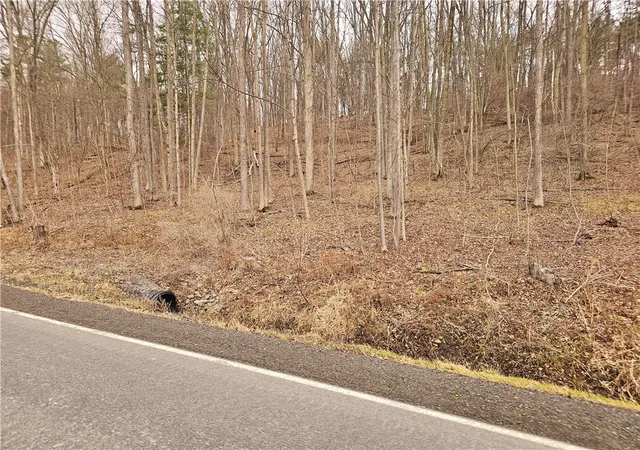 Homes for sale in Jerusalem, NY | 2130 Guyanoga Rd, Jerusalem, NY 14527 | MLS# R1671874