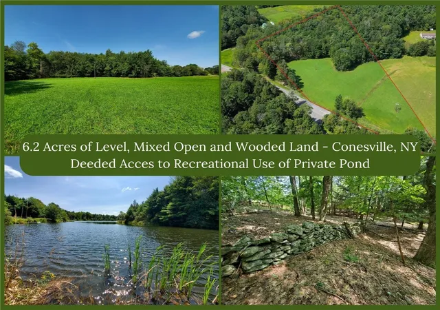 Homes for sale in Conesville, NY | Lot 10 Bull Hill Rd, Conesville, NY 12076 | MLS# R1663346