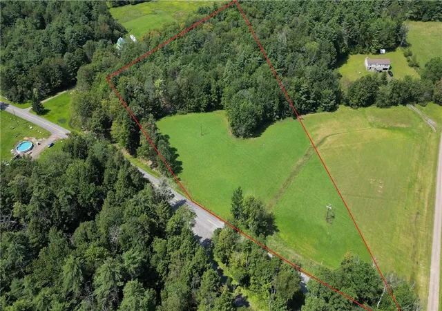 Homes for sale in Conesville, NY | Lot 10 Bull Hill Rd, Conesville, NY 12076 | MLS# R1663346