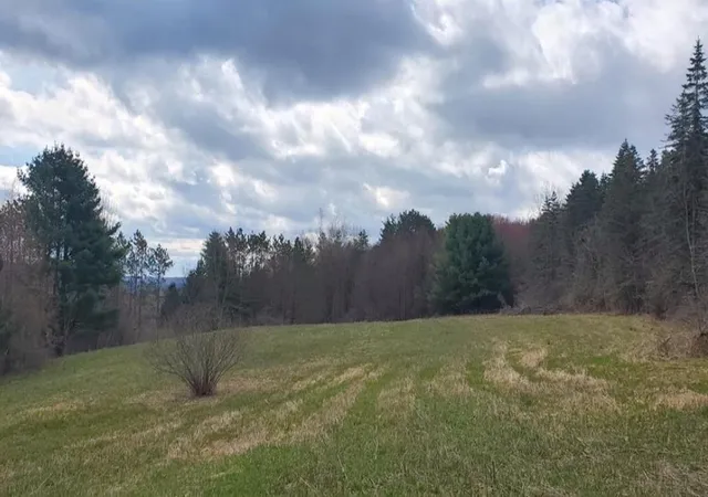 Photo 3 of Land for sale at Goddards Rd, New Lisbon, NY 13315 | MLS# R1673517 | Listing updated on 2026-07-23