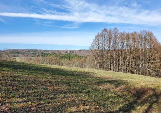 Photo 3 of Land for sale at Goddards Rd, New Lisbon, NY 13315 | MLS# R1673517 | Listing updated on 2026-07-23