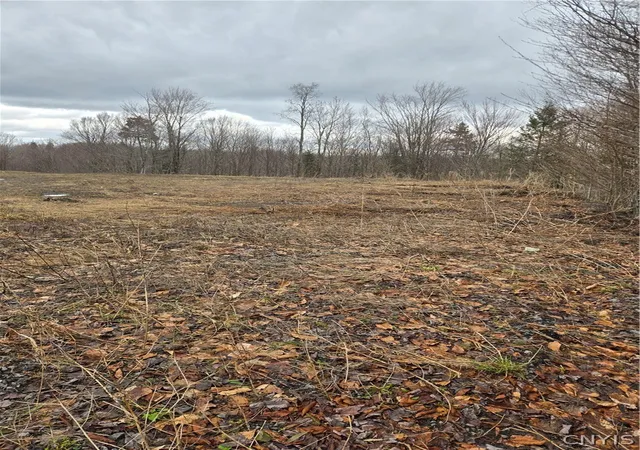 Homes for sale in Norway, NY | 1290 Dairy Hill Rd, Norway, NY 13416 | MLS# S1672991