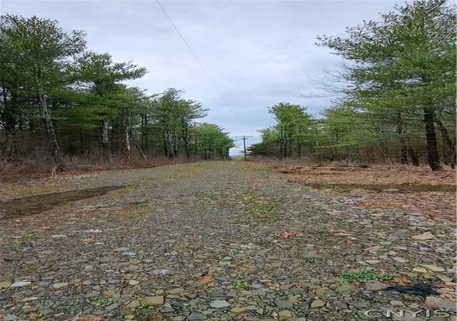 Homes for sale in Alexandria, NY | Sweet Point Rd, Alexandria, NY 13607 | MLS# S1673318
