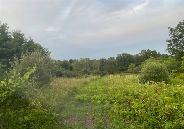 Homes for sale in Reading, NY | 4206 County Road 29, Reading, NY 14878 | MLS# R1672889
