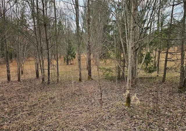 Homes for sale in Caroline, NY | Level Green Rd, Caroline, NY 13736 | MLS# S1673907