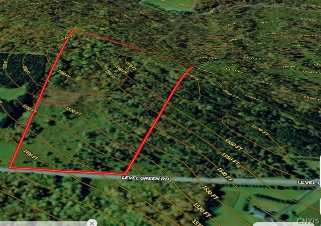 Homes for sale in Caroline, NY | Level Green Rd, Caroline, NY 13736 | MLS# S1673907