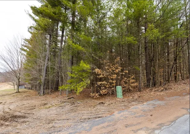 Homes for sale in Watson, NY | Baldwin Rd, Watson, NY 13343 | MLS# R1673917