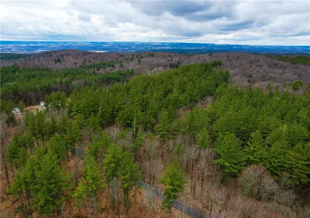 Homes for sale in Watson, NY | Baldwin Rd, Watson, NY 13343 | MLS# R1673917