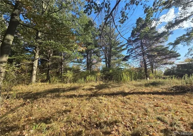 Photo 4 of Single family home for sale at 14503 Erway Trak Rd, Waterport, NY 14571 | MLS# B1674054 | Listing updated on 2026-07-21