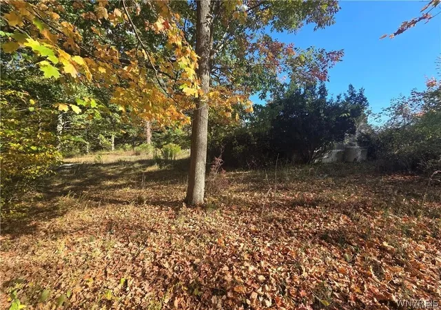 Photo 5 of Single family home for sale at 14503 Erway Trak Rd, Waterport, NY 14571 | MLS# B1674054 | Listing updated on 2026-07-21