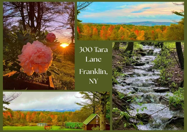 Photo 48 of Sale Pending at 300 Tara Ln, Franklin, NY 13775 | MLS# R1672066 | Listing updated on 2026-08-04