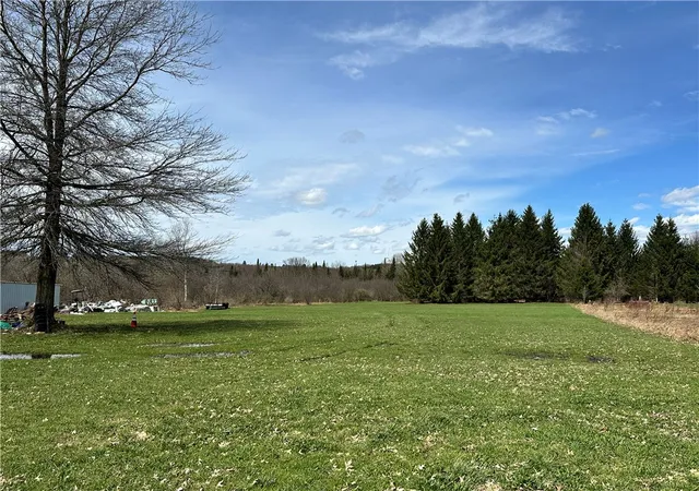 Photo 1 of Land for sale at 3239 Route 39, Bliss, NY 14024 | MLS# R1673912 | Listing updated on 2026-07-30