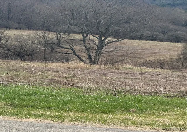 1st image of State Hwy 23, Pitcher, NY 13801 | MLS# S1674234