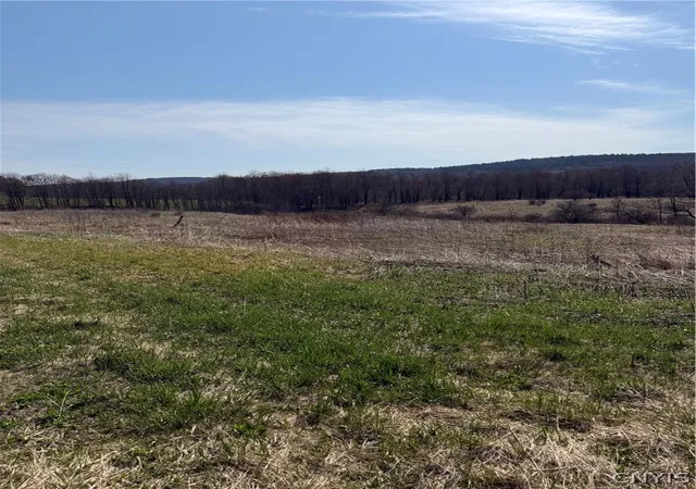 2nd image of State Hwy 23, Pitcher, NY 13801 | MLS# S1674234