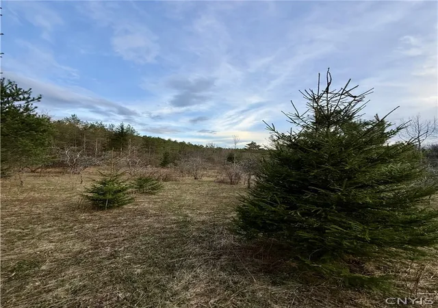 10th image of 166 Springer Rd, Lincklaen, NY 13052 | MLS# S1673183