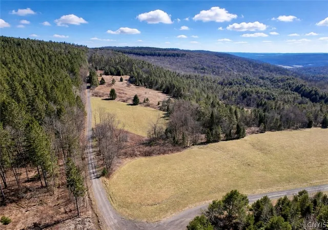 2nd image of 166 Springer Rd, Lincklaen, NY 13052 | MLS# S1673183
