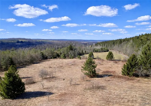 3rd image of 166 Springer Rd, Lincklaen, NY 13052 | MLS# S1673183