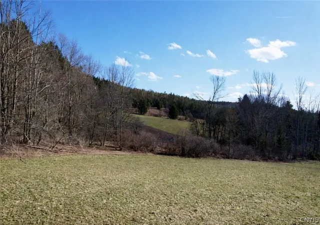 4th image of 166 Springer Rd, Lincklaen, NY 13052 | MLS# S1673183