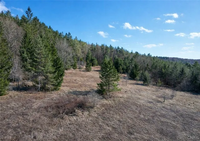 5th image of 166 Springer Rd, Lincklaen, NY 13052 | MLS# S1673183