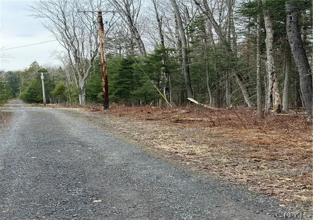 Photo 11 of Sale Pending at Lot 96 West Rd, Forestport, NY 13338 | MLS# S1674605 | Listing updated on 2026-07-22
