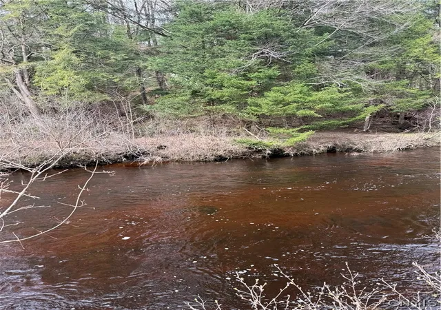 Photo 1 of Sale Pending at Lot 96 West Rd, Forestport, NY 13338 | MLS# S1674605 | Listing updated on 2026-07-22