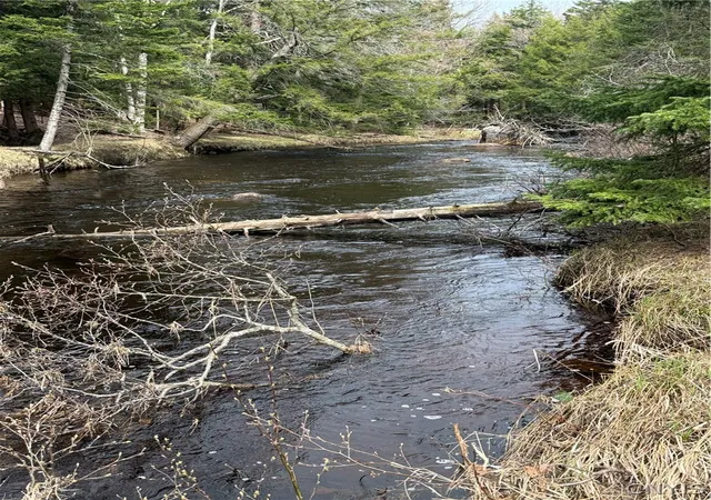 Photo 3 of Sale Pending at Lot 96 West Rd, Forestport, NY 13338 | MLS# S1674605 | Listing updated on 2026-07-22